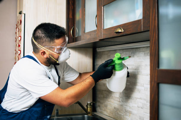 Best Affordable Pest Control Services  in Hagerstown, IN