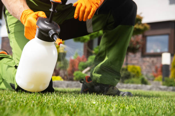 Best Pest Removal Services  in Hagerstown, IN