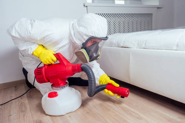 Best Termite Control Services  in Hagerstown, IN