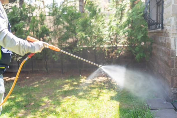 Best Affordable Pest Control Services  in Hagerstown, IN