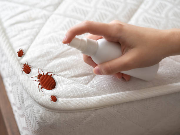 Best Flea Control Services  in Hagerstown, IN