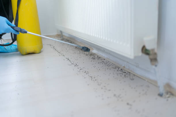Best Best Pest Control Companies  in Hagerstown, IN
