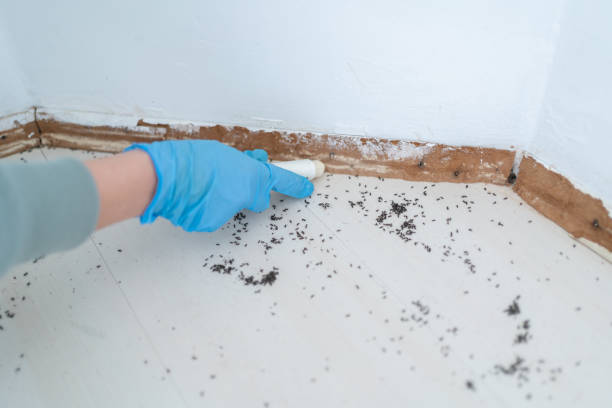 Best Pest Prevention Services  in Hagerstown, IN